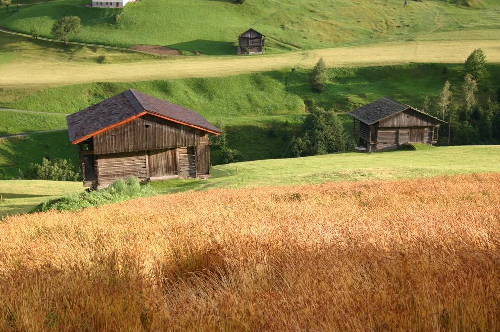Bauernhof Im Wiesengrund Maria Luggau Kültér fotó
